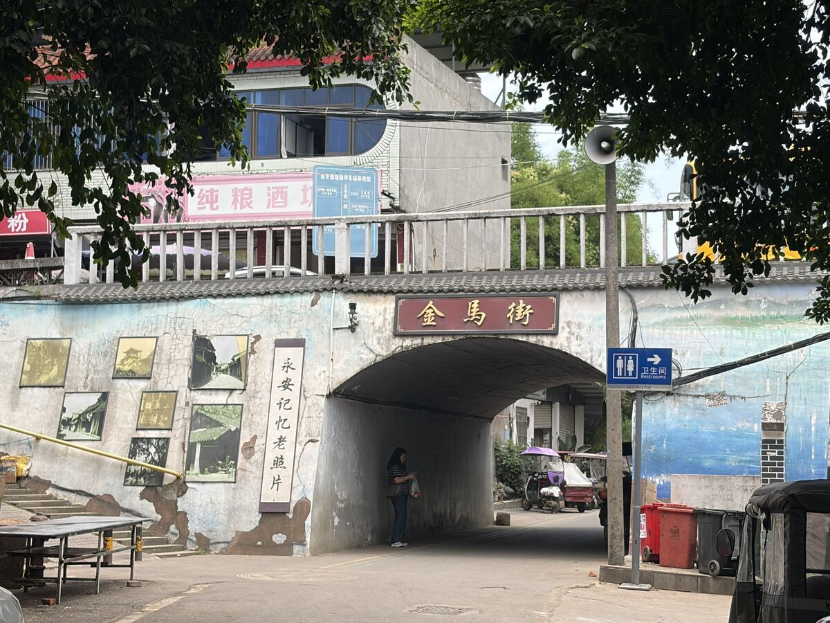 照片 5